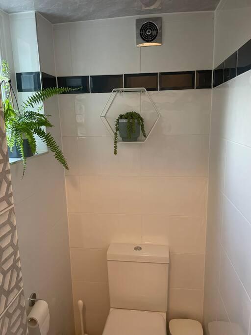 Appartement West Stunning Garden Flat - Period Features Londres